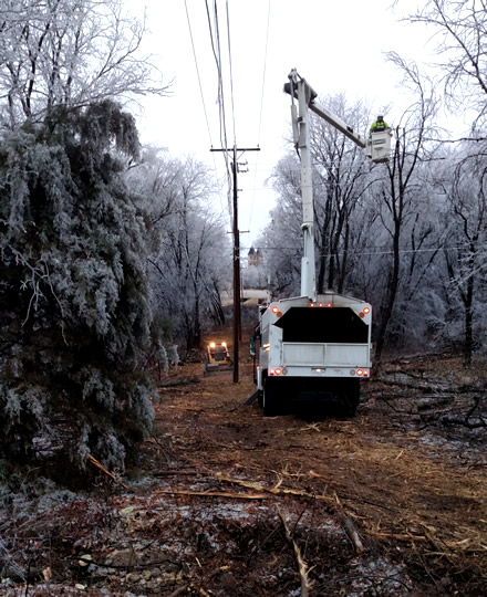 tree service ice storm clearing